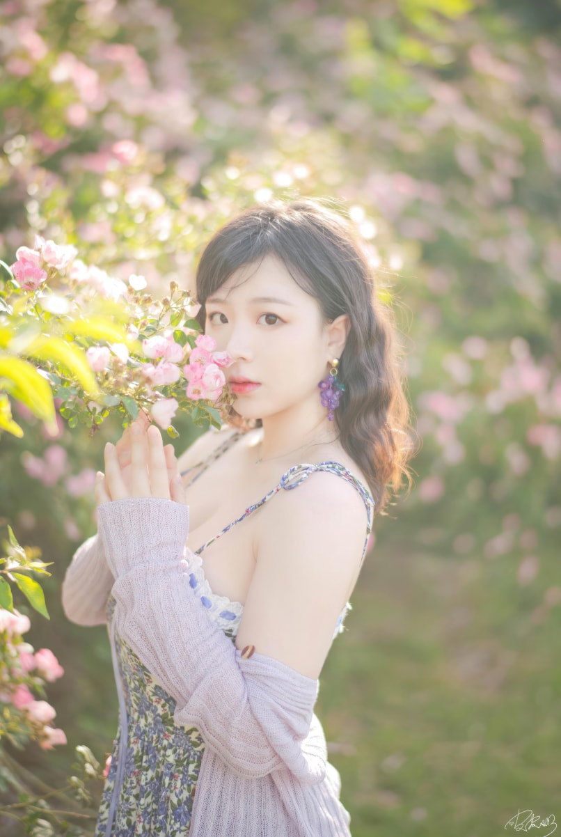 皮皮奶可可爱了啦 蔷薇花-高端精品