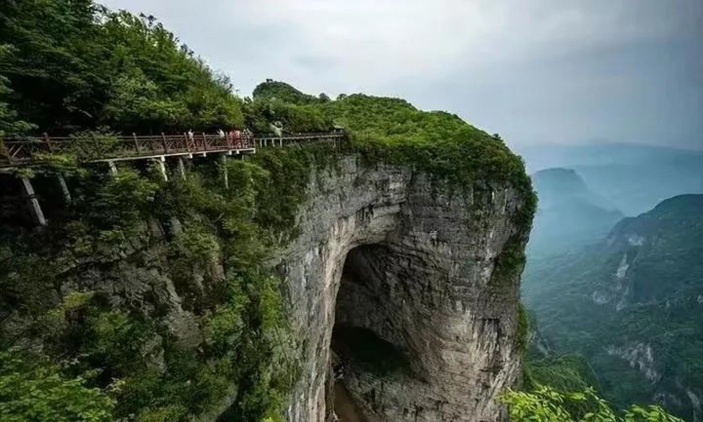 相约跳崖的4个年轻人，逼死他们的“元凶”找到了_黑料正能量