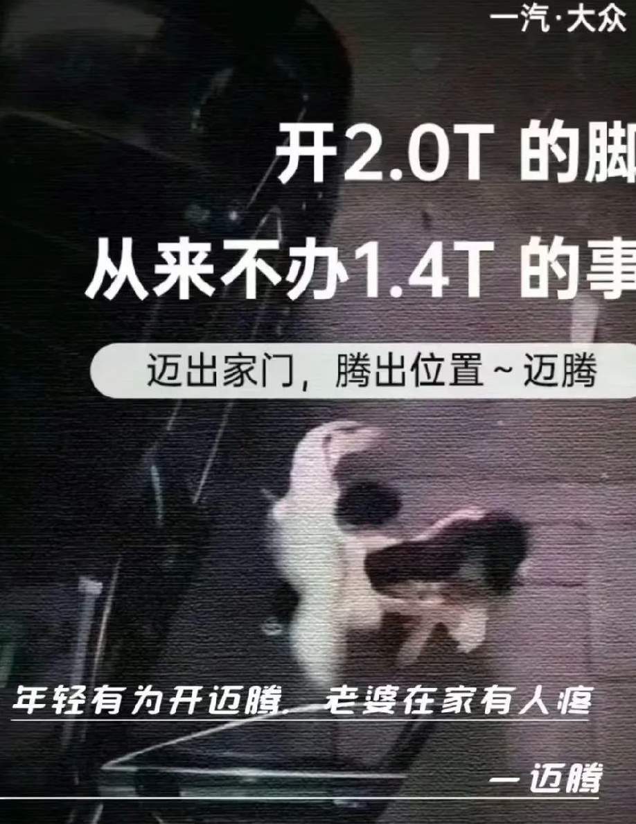 “你就没有错吗？”迈腾情侣的瓜，把人笑晕了！_黑料正能量