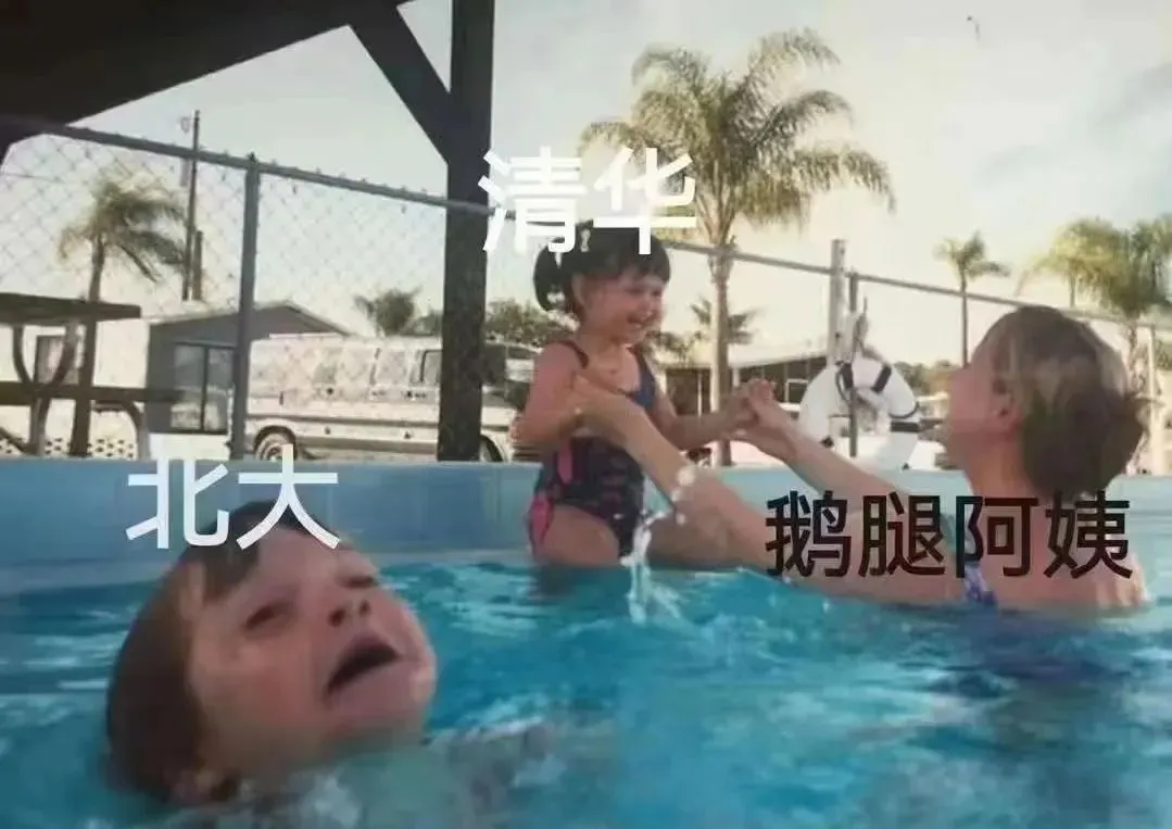 撼动北京半个学术圈的“鹅腿阿姨”，让清华北大争夺的女人_黑料正能量
