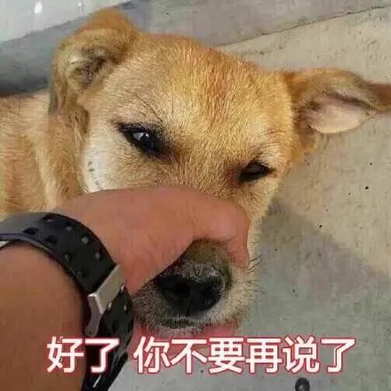 苦情戏主播又作妖了：叫一声“爹”，骗尽老人心血_黑料正能量