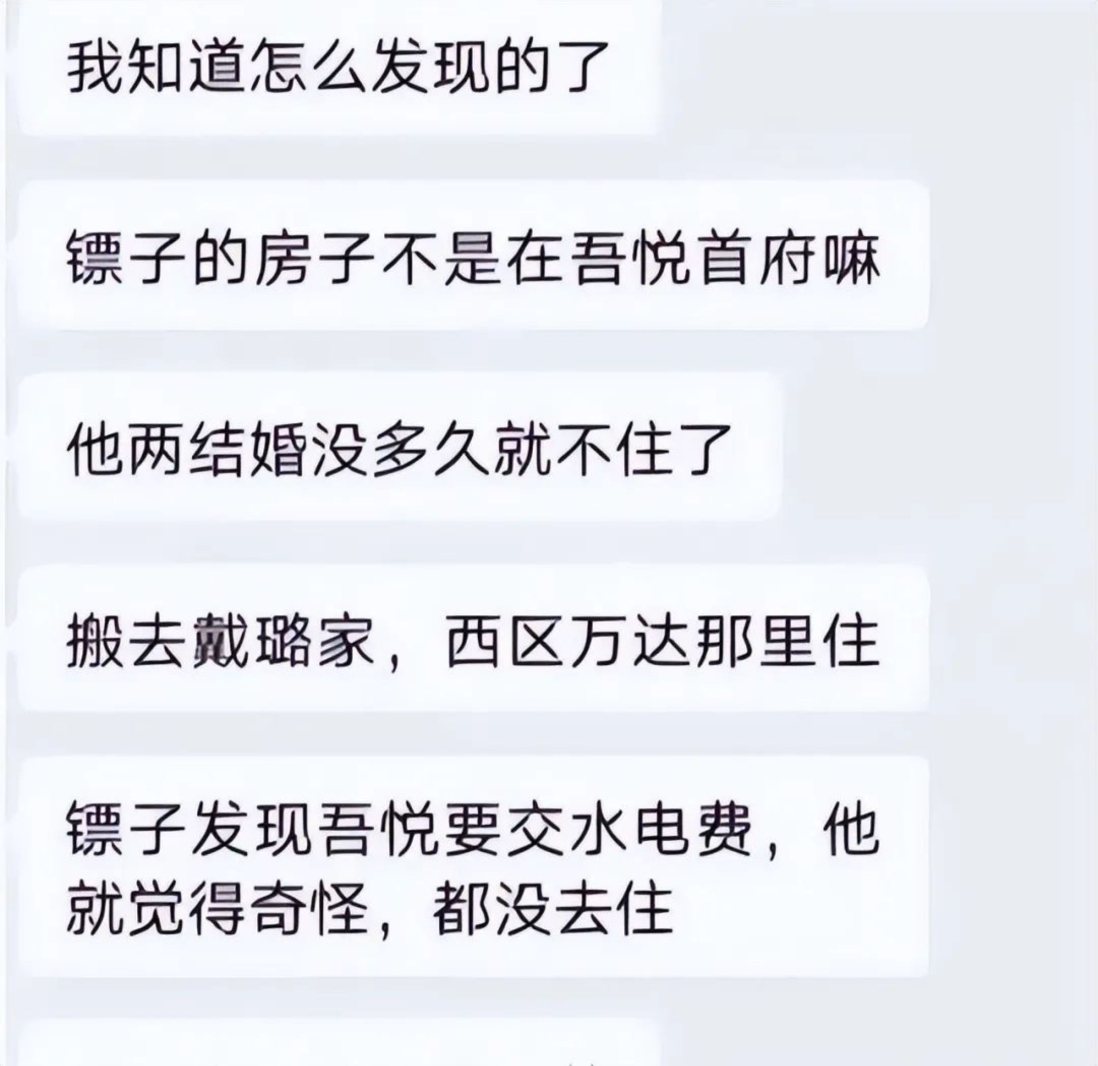 婚房装视频监控、扳倒韦峰，戴璐老公“镖子”绝非等闲之辈！_黑料正能量