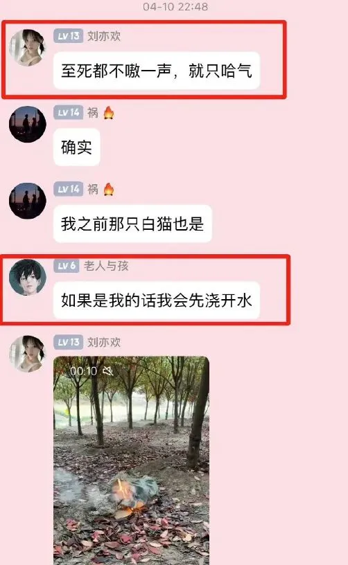 今日吃瓜：杰克辣条虐猫引众怒！网友卖房给他下通缉令_黑料正能量