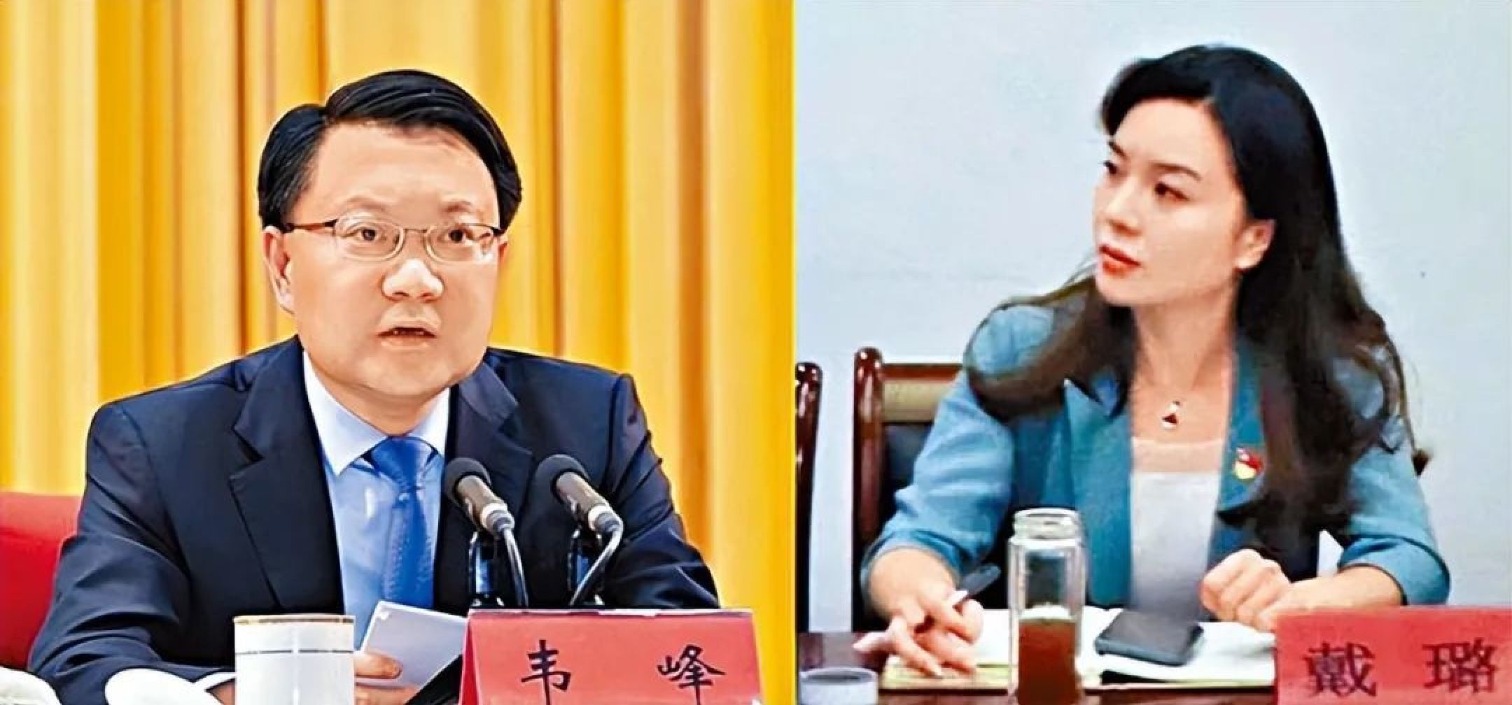 婚房装视频监控、扳倒韦峰，戴璐老公“镖子”绝非等闲之辈！_黑料正能量