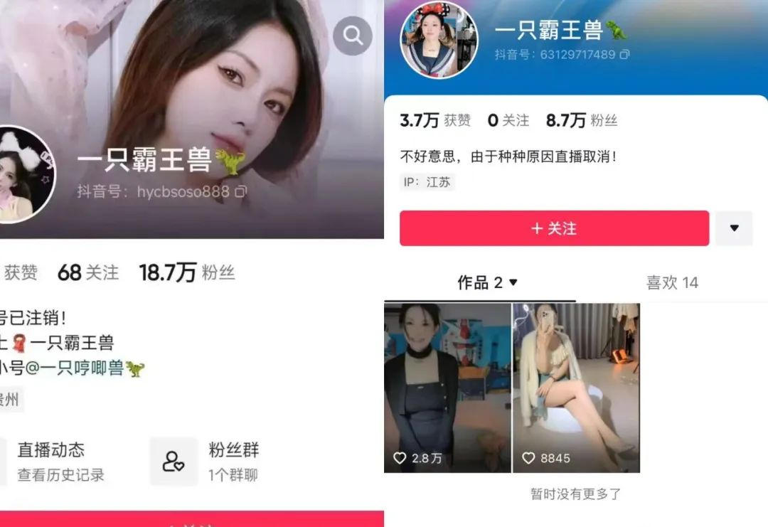 一只霸王兽土豪视角？女主播双面直播视频曝光，这是能免费看的吗_黑料正能量