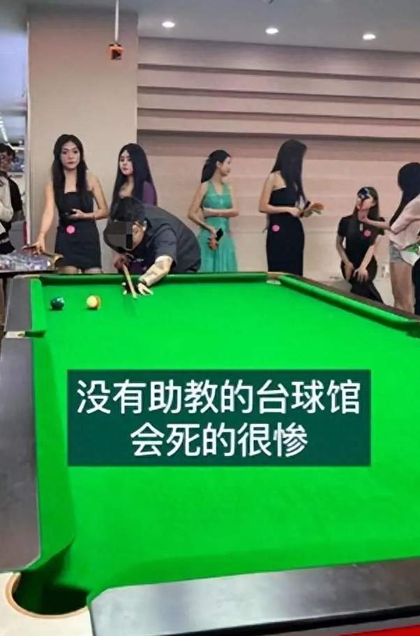 美女陪练988包一杆进洞？台球厅包间内藏玄机_黑料正能量