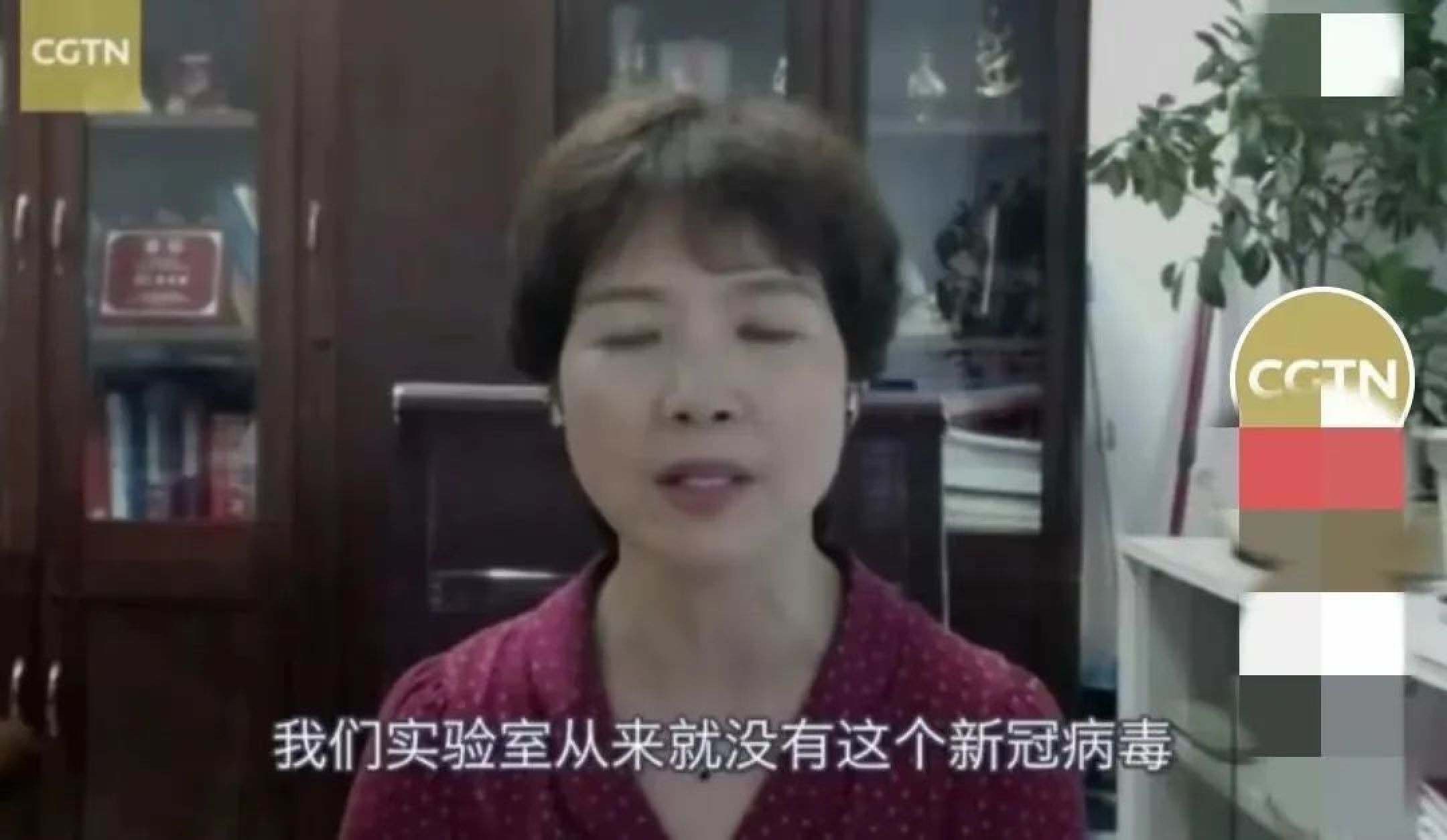 石正丽火了，和颜宁并列，她称：新冠源头不在实验室，根本找不到_黑料正能量