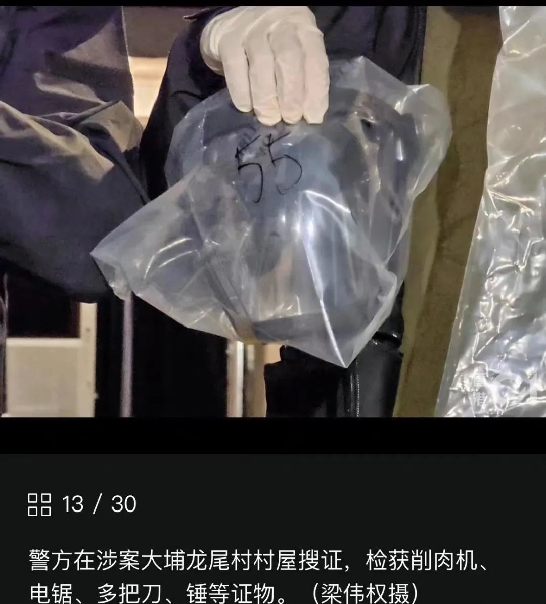 人肉叉烧包再次上演！揭秘香港名媛蔡天凤碎尸案_黑料正能量