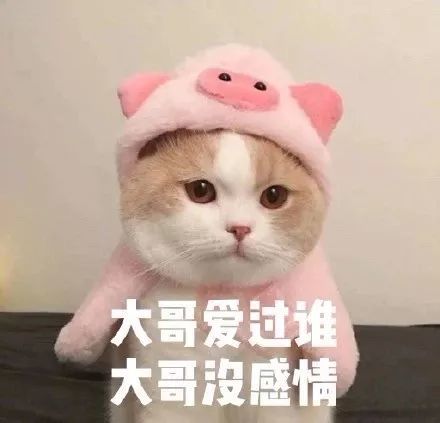 老妻少夫出轨瓜，软饭男陪shui拉皮条样样精通！_黑料正能量
