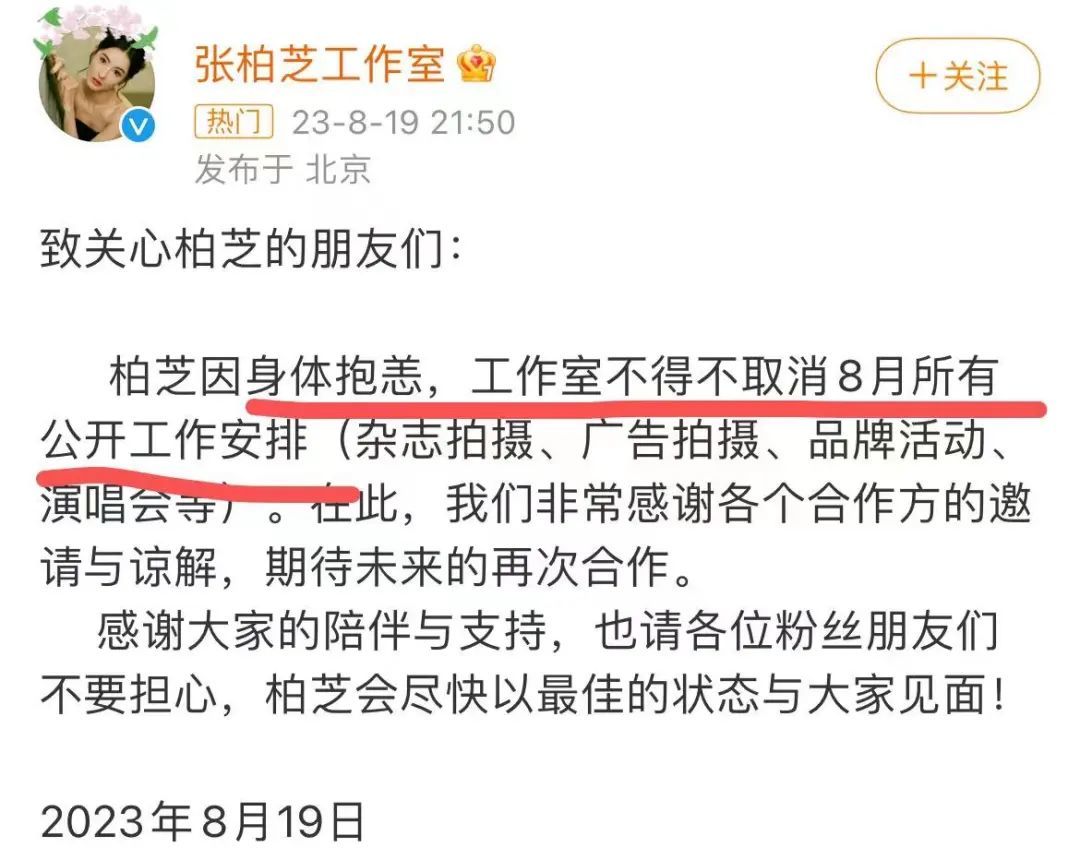张柏芝又怀四胎，富豪孩子爹高兴坏了！_黑料正能量