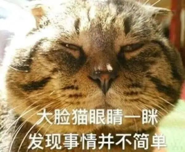 张柏芝又怀四胎，富豪孩子爹高兴坏了！_黑料正能量