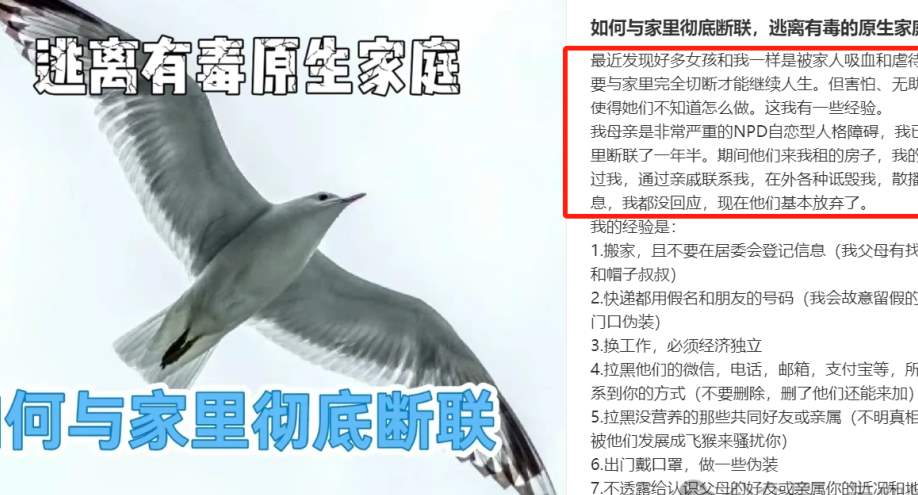 我在小红书学习：“和爸爸断绝关系”..._黑料正能量