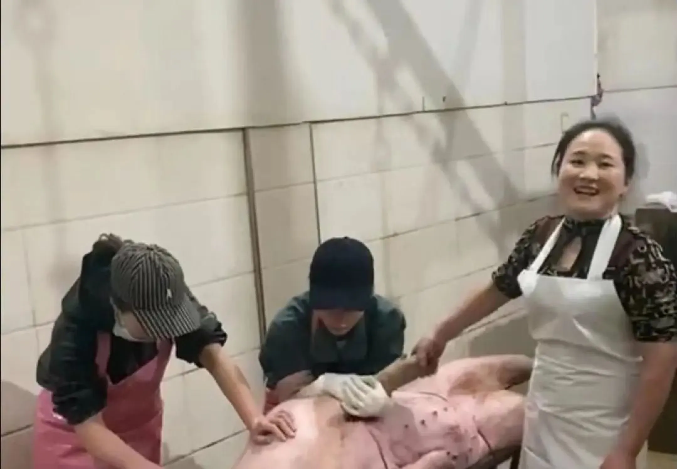一夜入金1万2，杀猪姐火了！每晚数百头，月入3万，坦言不信报应_黑料正能量